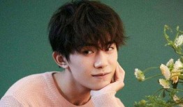 王源黑粉最新爆料事件视频,真相与谣言的较量