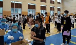 郑燕姿被爆料了吗最新消息,揭秘背后真相与传闻真相！”