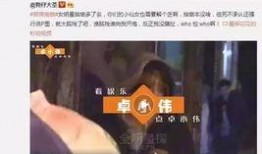 娱乐圈在线爆料视频,在线爆料视频背后的真相大起底